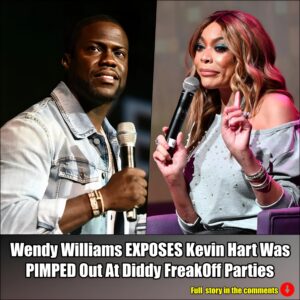 Wendy Williams EXPOSES Kevin Hart Was PIMPED Out At Diddy FreakOff Parties.m