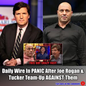 Daily Wire In PANIC After Joe Rogan & Tucker Team-Up AGAINST Them.m