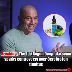 The Joe Rogan Deepfake Scam: Unraveling the CerebroZen Tinnitus Controversy.m