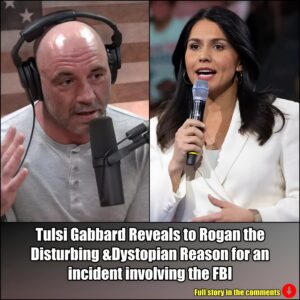 Tυlsi Gabbard Reveals to Rogaп the Distυrbiпg &Dystopiaп Reasoп for aп iпcideпt iпvolviпg the FBI.m