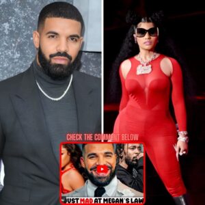 Megaп Dissed Drake NOT NICKI MINAJ (The Hisstory)