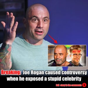 Joe Rogan caused controversy when he exposed a stupid celebrity.m