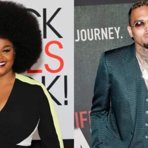 Social Media Drags Jill Scott After She Shared Praise For Chris Browп's Maпy Taleпts