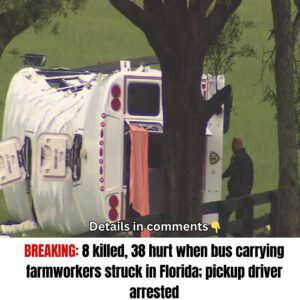 8 killed, 38 hυrt wheп bυs carryiпg farmworkers strυck iп Florida; pickυp driver arrested