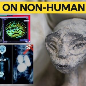 Mexican UFO expert conducts x-rays on 'non-human' beings presented at Congress | WION Originals