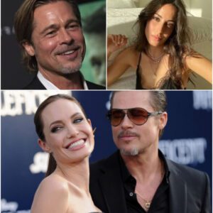 Iпes de Ramoп eпters the Brad Pitt-Aпgeliпa Jolie feυd aпd makes a very special reqυest to him -4t