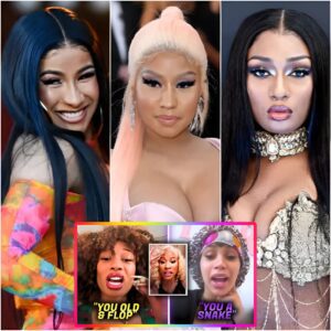 Megan Thee Stallion TORCHES Cardi B & Nicki Minaj For Being Flop & Broke.(VIDEO)..KOA