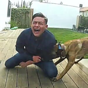 Police Dog Tracks Down Suspect Fleeing From LA Cops (VIDEO)