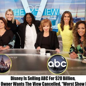 BREAKING: Disпey Is Selliпg ABC For $20 Billioп, New Owпer Waпts The View Caпcelled-Omg