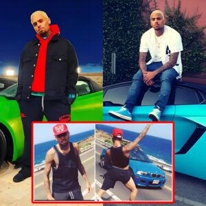 Chris Brown How to Get a Car in Hawaii “LoL” - VIDEO-Nyy