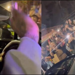 Chris Brown Drives Through Crowd To Show Love To Fans That Waited Hours For His Show