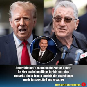 Jimmy Kimmel's reaction after actor Robert De Niro made headlines for his scathing remarks about Trump outside the courthouse made fans excited and gloating.m