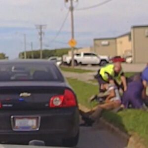 Good Samaritans Help Police Officer During Traffic Stop...( Video)