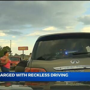 Desperate Mother with Child in Car Smashes Through Police Roadblocks in Georgia (VIDEO)