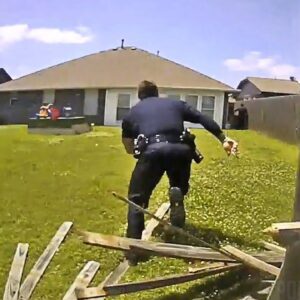 Officer Runs Through Fence To Catch Fleeing Suspect During Foot Pursuit...(Video)