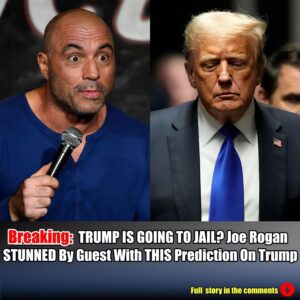 TRUMP IS GOING TO JAIL? Joe Rogan STUNNED By Guest With THIS Prediction On Trump.hm