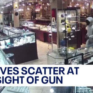 Thieves scatter after store employee pulls out gun to thwart robbery...(Video)