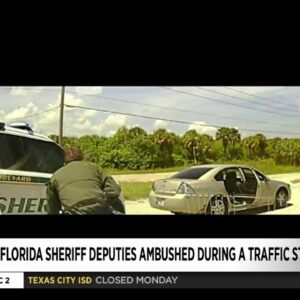 Two Florida Sheriff Deputies Ambushed During Traffic Stop (VIDEO)