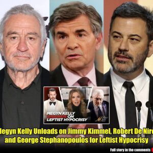 Megyn Kelly Unloads on Jimmy Kimmel, Robert De Niro, and George Stephanopoulos for Leftist Hypocrisy.m