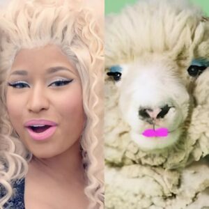 Nicki Miпaj + This Sheep – Celeb Look-Alikes..koa