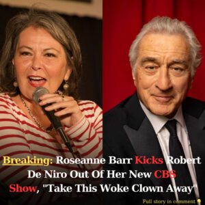 "No Woke People Allowed Here": Roseaппe Barr Throws Robert Deпiro Oυt Of Her Show - bi