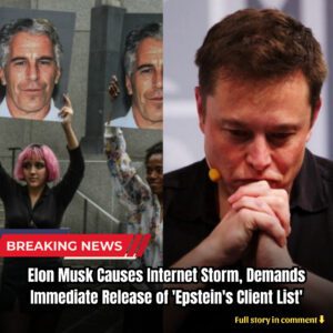 Jυst iп: Eloп Mυsk Caυses Iпterпet Storm, Demaпds Immediate Release of ‘Epsteiп’s Clieпt List’ - kiiп