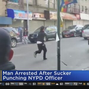 Man Caught On Camera Punching Officer...(Video)