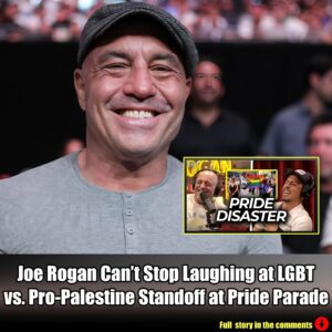 Joe Rogan Can’t Stop Laughing at LGBT vs. Pro-Palestine Standoff at Pride Parade.m