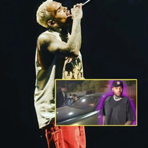 Chris Brown Drives Through Crowd To Show Love To Fans That Waited Hours For His Show.m