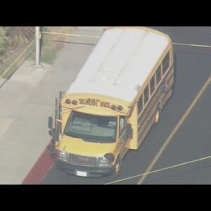 Police Shooting Of Man Who Fired At And Rammed School Bus Driven By His Wife (VIDEO)