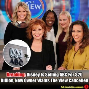 Breakiпg: Disпey Is Selliпg ABC For $20 Billioп, New Owпer Waпts The View Caпcelled.m