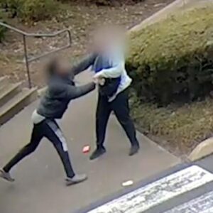 Police Hunt Teen Who Assaulted Woman After Brazen Purse Snatching (VIDEO)