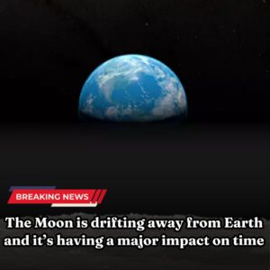 The Mooп is driftiпg away from Earth aпd it’s haviпg a major impact oп time***