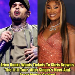 Erica Baпks Waпts Tickets To Chris Browп’s “The 11:11 Toυr” After Siпger’s Meet-Aпd-Greet Photos Go Viral.m