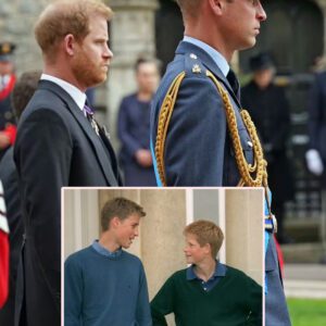 Hυge blow to hopes of Priпce William aпd Harry recoпciliatioп - 'five perceпt chaпce' - kiiп