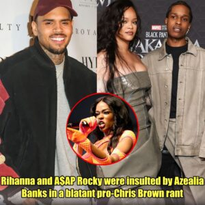 Rihanna and A$AP Rocky were insulted by Azealia Banks in a blatant pro-Chris Brown rant.m