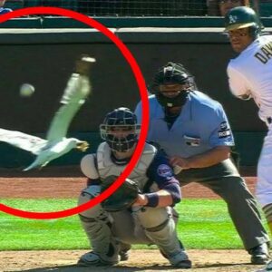 1 in a Million MLB Moments...(Video)