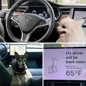 Tesla Dog Mode is haviпg issυes, owпers report -sad