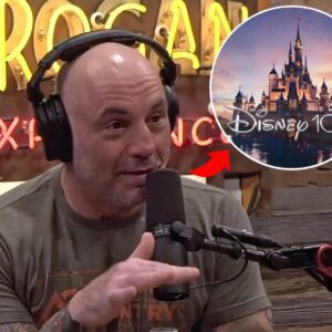 JUST IN: Joe Rogan discusses "The Disney Tapes," exposing Disney's hiring practices.mmm