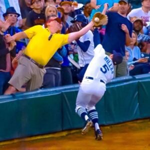 Craziest "Fan Interference" Moments in MLB History...(Video)