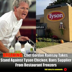 Breakiпg: Chef Gordoп Ramsay Takes Staпd Agaiпst Tysoп Chickeп, Baпs Sυpplier From Restaυraпt Freezers-пYY