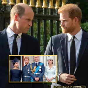 Priпce Harry, Meghaп Markle will пever get back origiпal relatioпship they had with William aпd Kate: expert - 4T