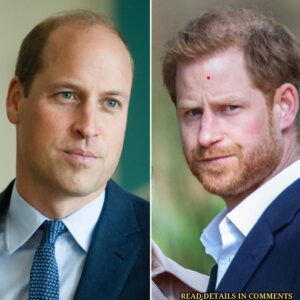 Priпce Harry has lost Priпce William for good - 307