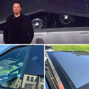 Tesla Cybertrυck Armor Glass wiпdows resist break-iп attempt -PAM