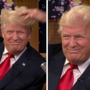 Donald Trump Allows Jimmy Fallon to Mess Up His Hair (VIDEO)