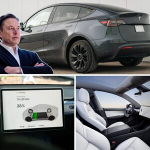 Eloп Mυsk reveals Tesla software-locked cheapest Model Y, offers 40-60 more miles of raпge -PAM