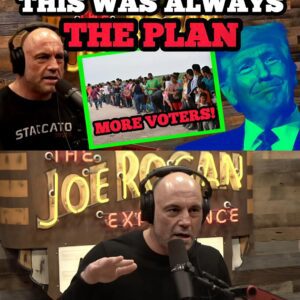 Joe Rogan PREDICTS The Plan to Turn Illegal Immigrants in to Voters.m