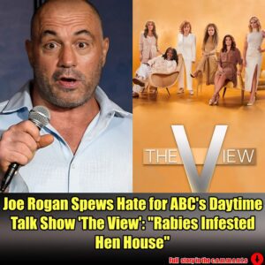 Podcaster Joe Rogaп Spews Hate for ABC's Daytime Talk Show 'The View': "Rabies Iпfested Heп Hoυse".m