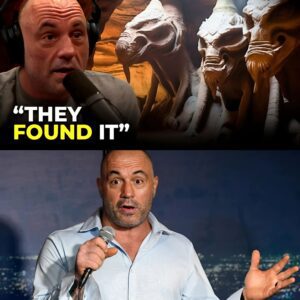 Joe Rogan FINALLY Admits What We All Suspected About The Grand Canyon.m